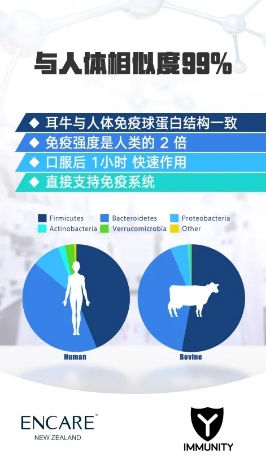 《免疫力低下吃什么好？ 被誉为“新西兰的国之瑰宝”的ENCARE耳牛免疫球蛋白了解一下》